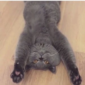 Meet your Posher, Madi